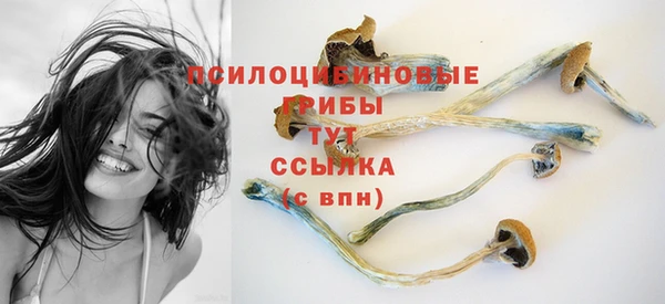 ALPHA-PVP Горнозаводск