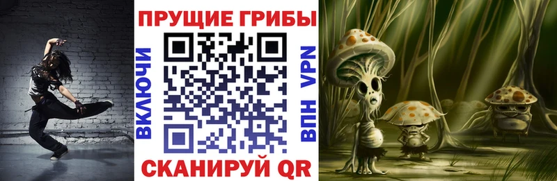 Псилоцибиновые грибы Psilocybe Мурманск